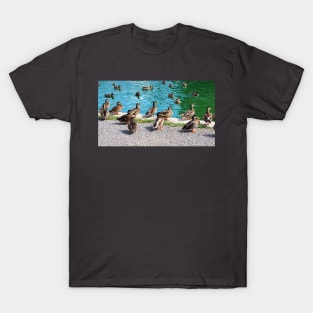 Flock Of Ducks At My Local Pond T-Shirt